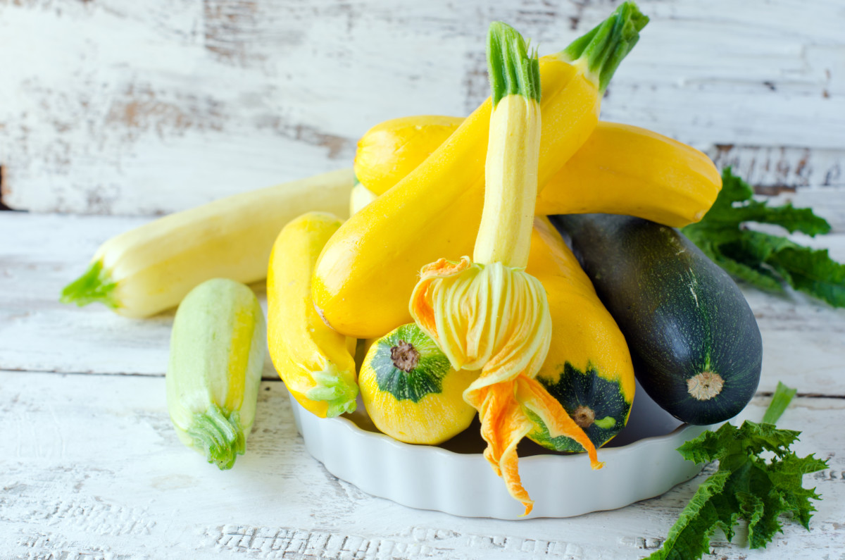 15 Problems and Pests that Plague Zucchini and Squash