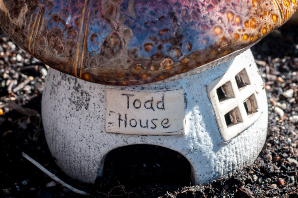 A clay toad house shaped as a large mushroom sitting in a garden. The mushroom cap is a gold glaze while the stem of the "house" is cream. There is a hole at the bottom for a toad to enter and a tiny window cut into the side. There is a small sign above the hole that reads, "Toad House"