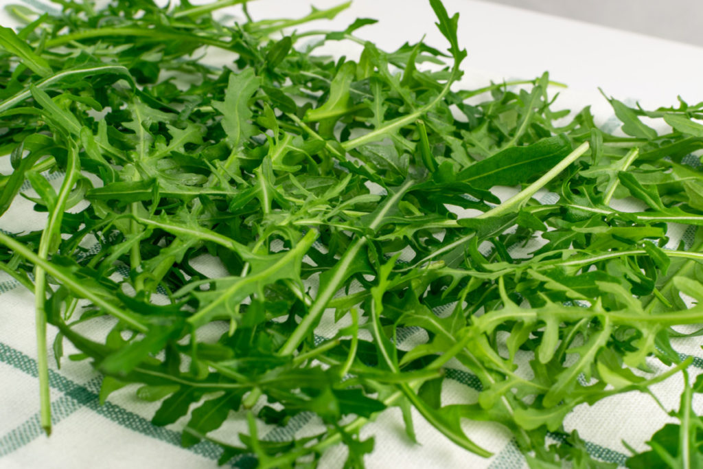 Freshly washed arugula greens on a white and green striped table cloth. 
