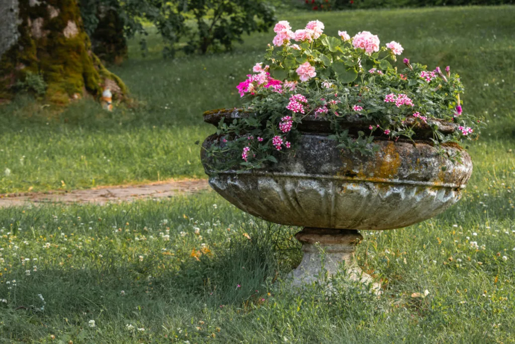 A large and worn stone pedestal planter with flowers growing out of it along a walkway.
