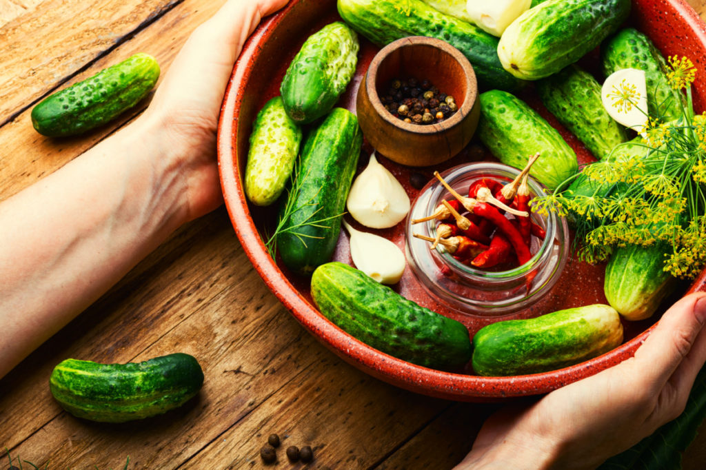 Hands hold a bowl with pickling cucumbers, garlic cloves, sprigs of dill and hot peppers and peppercorns