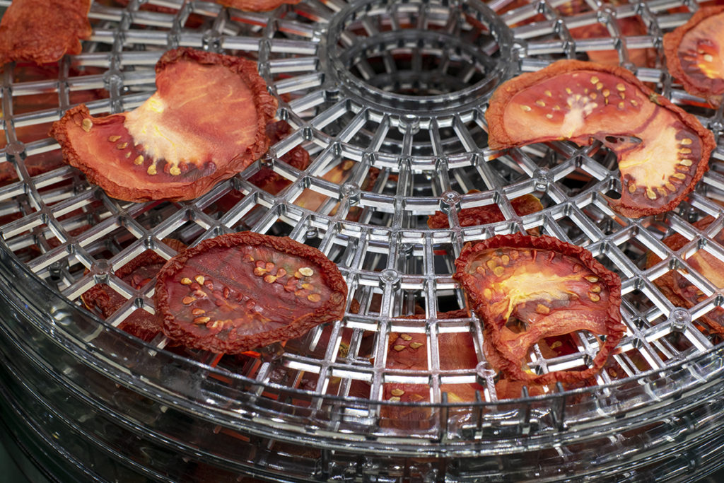 Overhead view of trays with tomatoes on them in a food dehydrator.