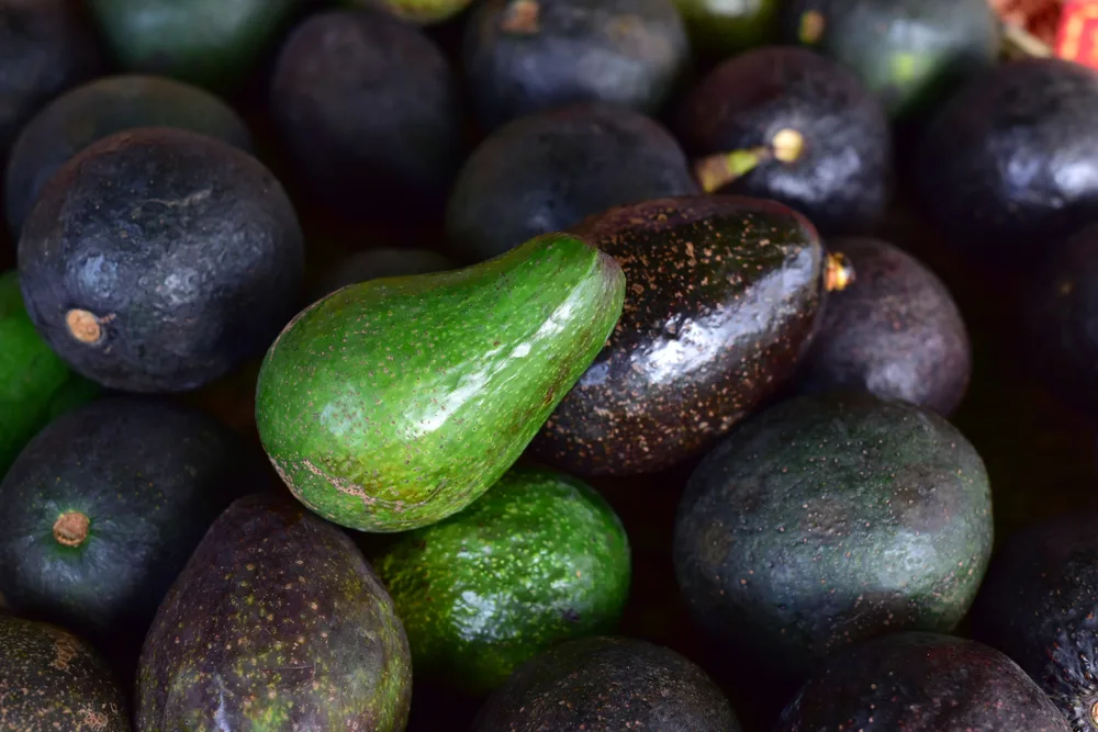 A pile of avocados. 