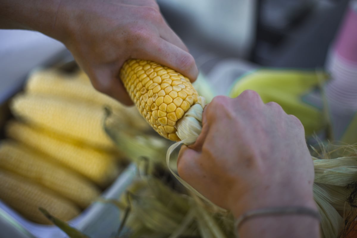 Corn Husk