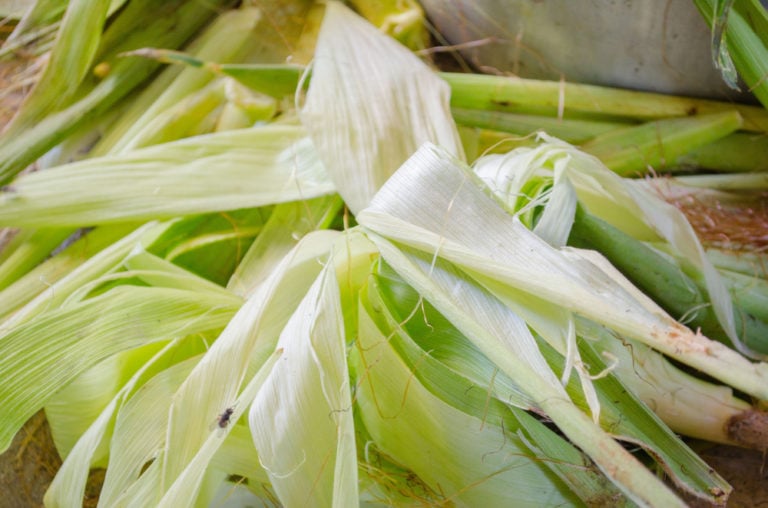 11 Practical Ways to Use Corn Husks