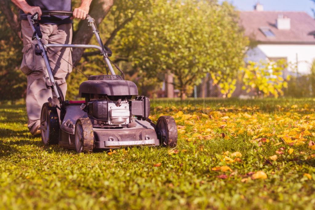 Man mowing over leaves on the lawn.