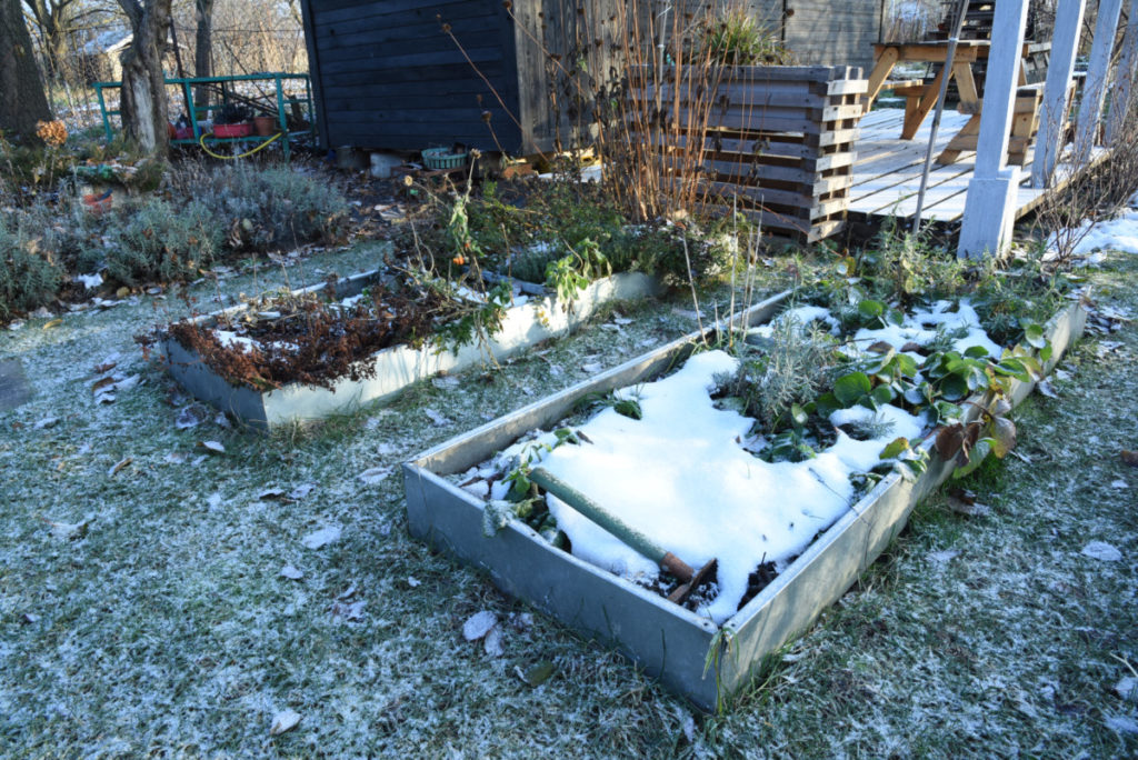 Raised beds covered in snow.
