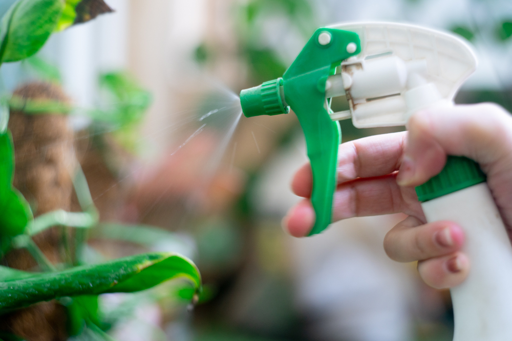 A hand holds a white spray bottle with a green top. Chive spray is being used to spray a plant. 