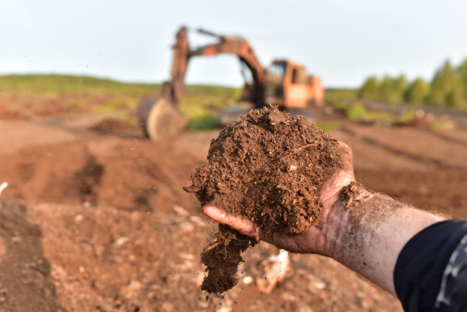 4 Reasons To Stop Using Peat Moss & 7 Sustainable Alternatives