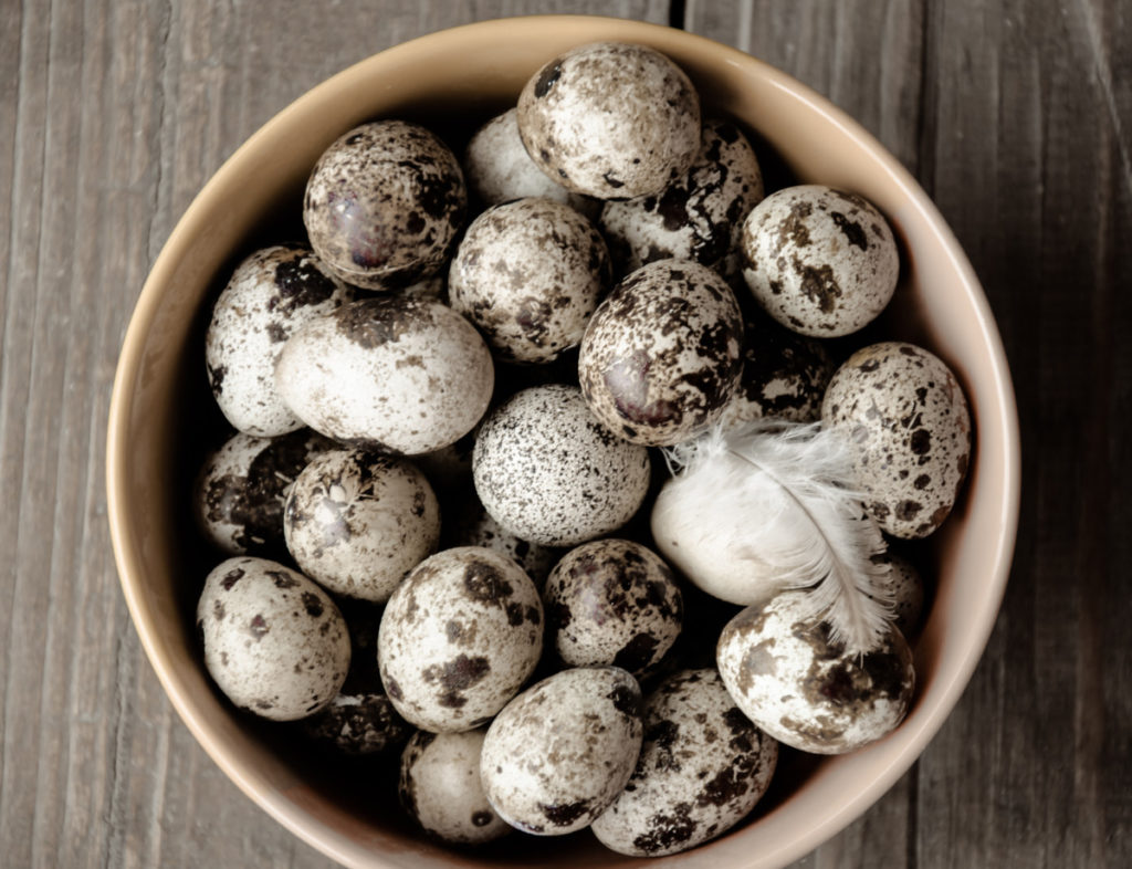 A stoneware bowl is filled with speckled quail eggs. There is a single feather sitting on top of the eggs. 