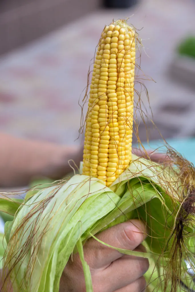 How To Prepare Corn Husks For Tamales