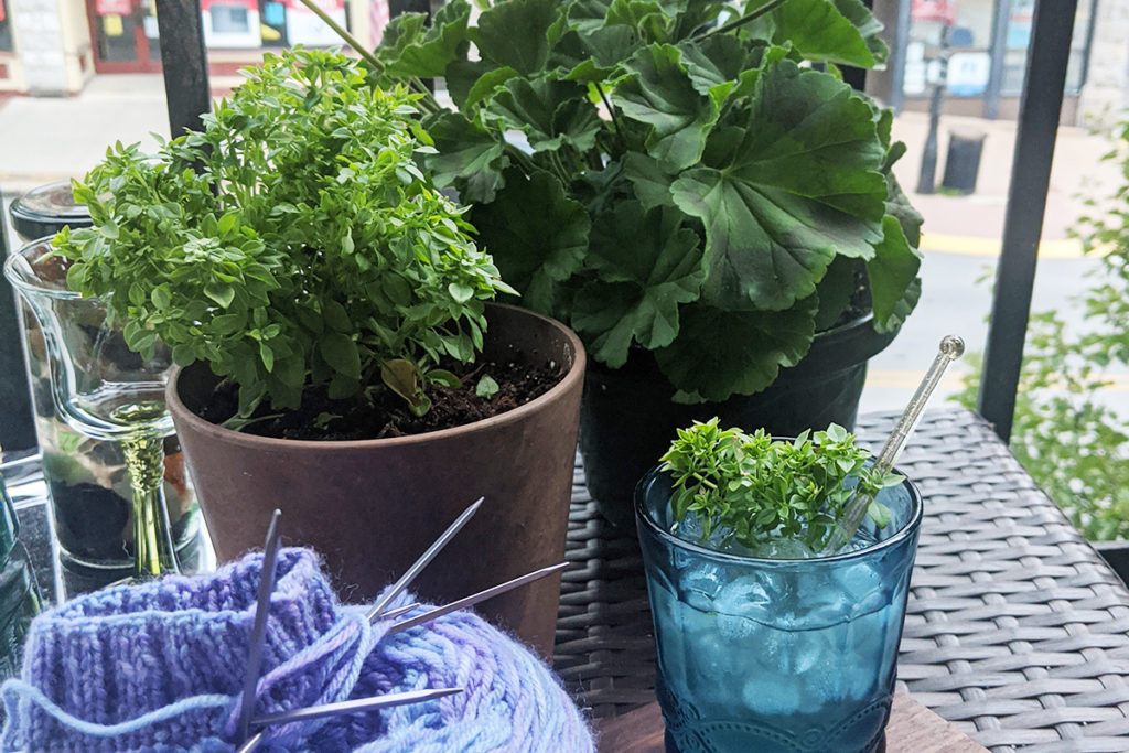 A potted dwarf Greek basil plant next to a drink with a sprig of the basil. There is a ball of yarn and a knitting project in the corner. 