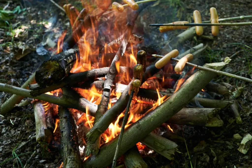 Several sticks with hot dogs being roasted over a campfire.