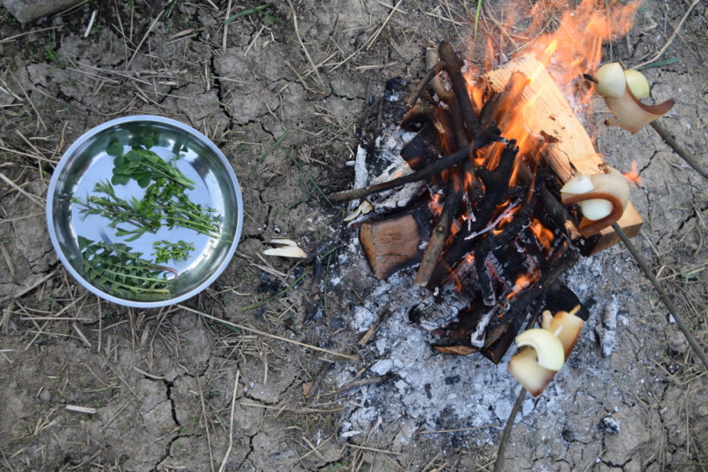A stainless steel dish with herbs on the ground next to a campfire. Two sticks held over the campfire roasting bacon and onion. 