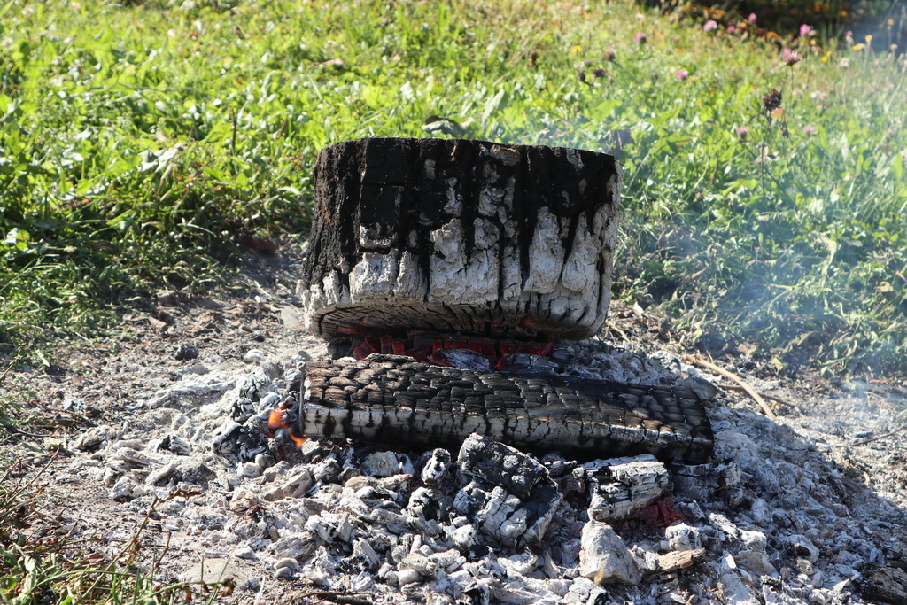 Small campfire in the grass with plenty of coals to cook over.