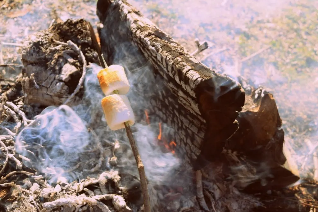 a stick with toasty brown marshmallows held over a smoky campfire. 