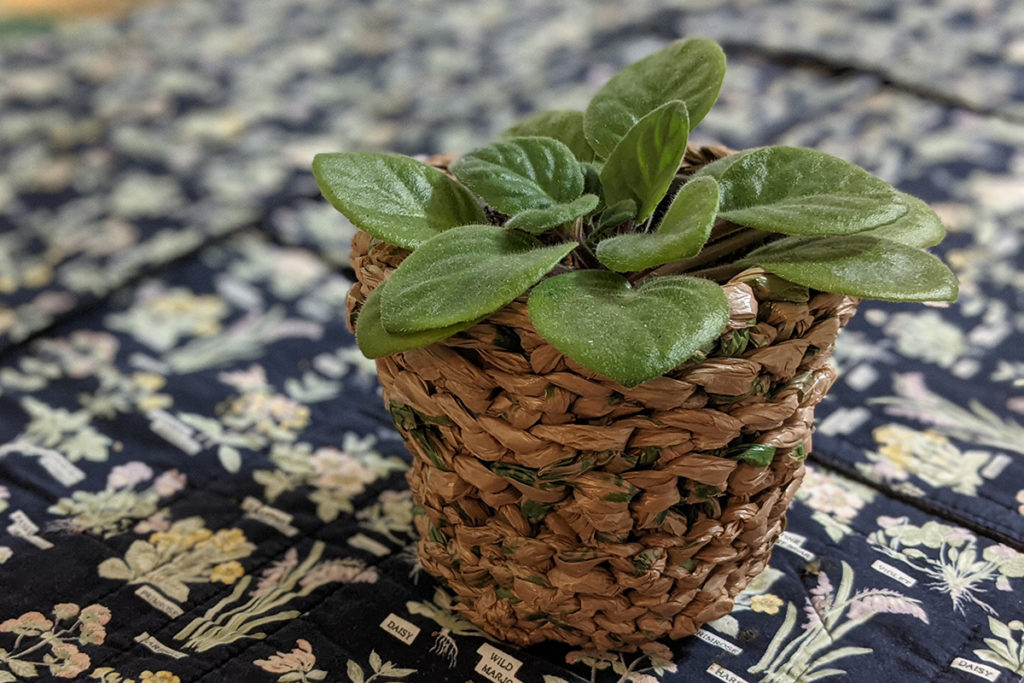 Crocheted plant pot made of reused plastic bags