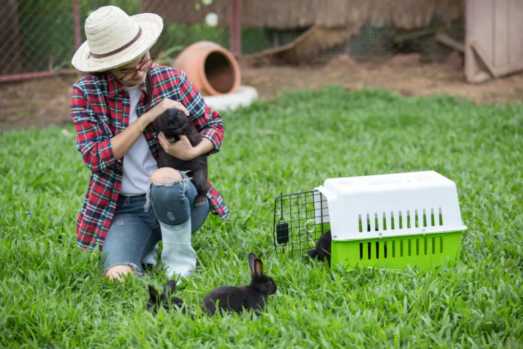 A woman holding a rabbit next to a pet carrier in the grass. 
