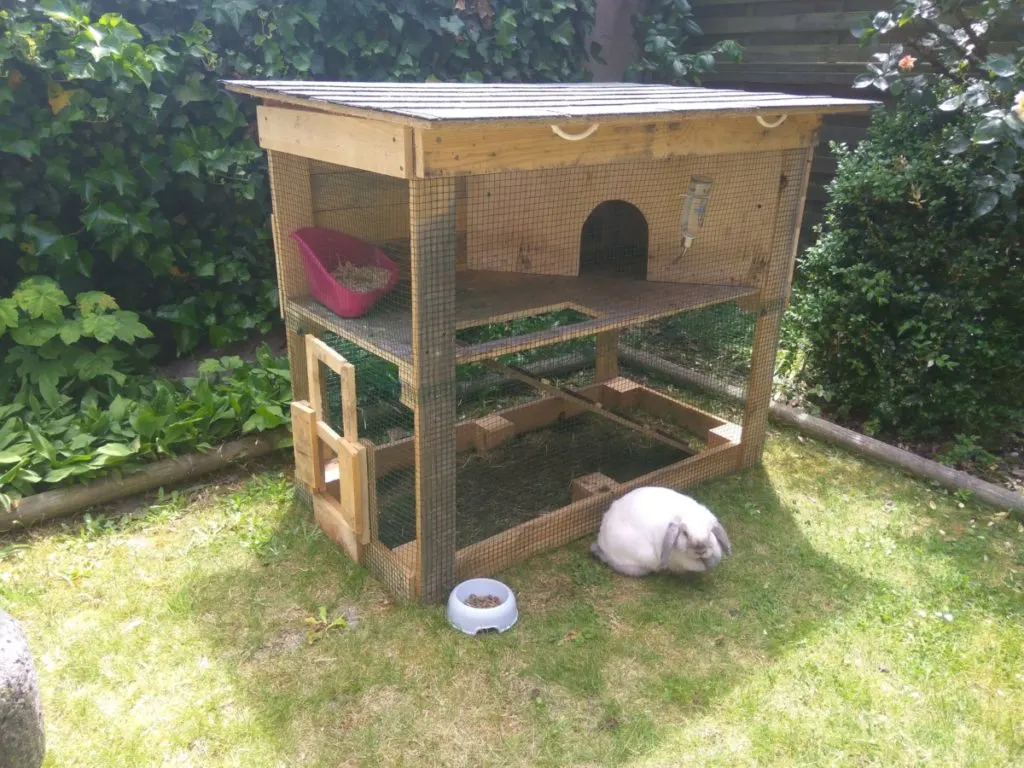 A white rabbit sits in the grass outside a large rabbit hutch in a suburban backyard.