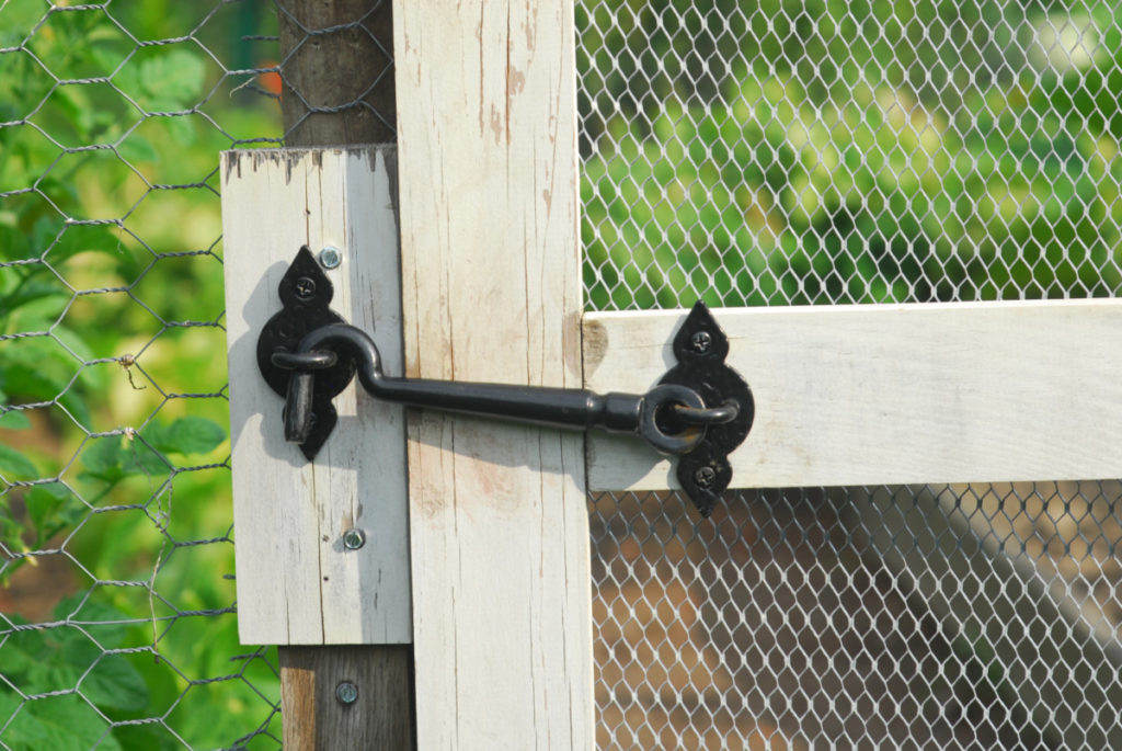 close up of a lock on a chicken coop