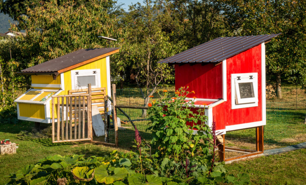 A yellow and red chicken coop in a sunny backyard.