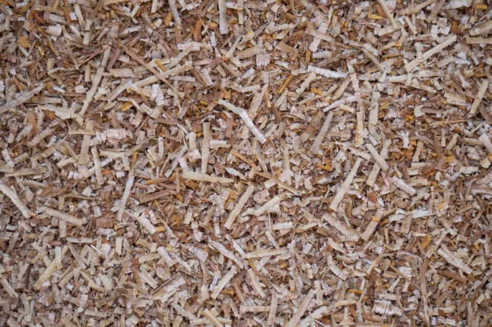 10 Common Chicken Coop Mistakes I Wish I Knew Earlier