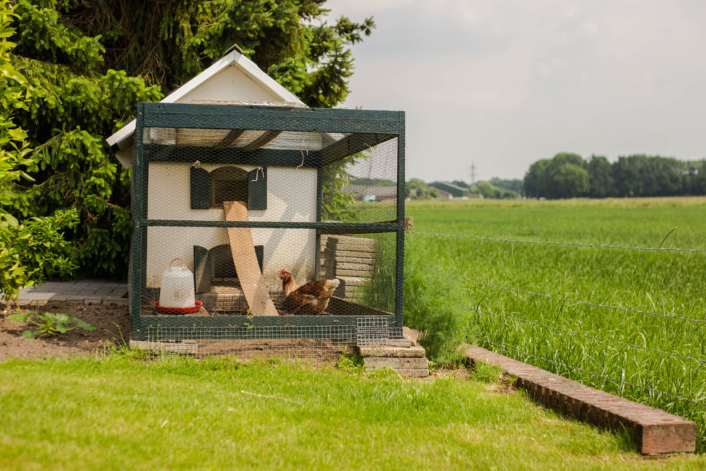 a picturesque chicken coop on the edge of a field