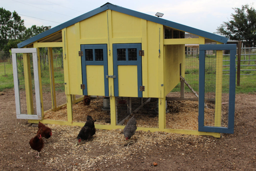 a bright yellow chicken coop with proper ventilation