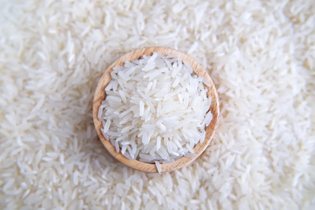 Close up of a pile of rice and tiny bowl of rice in the center