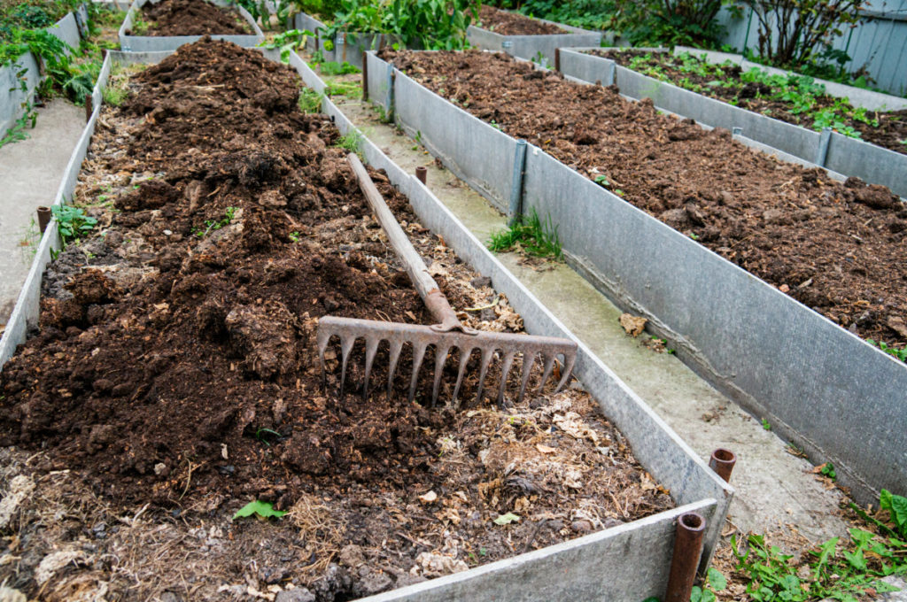 A raised bed with a layer of compost on top and a rake laying next to it.