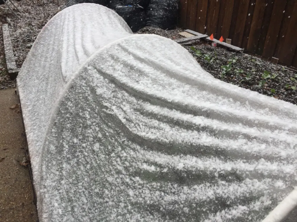 A row cover over a raised bed with a light dusting of snow.