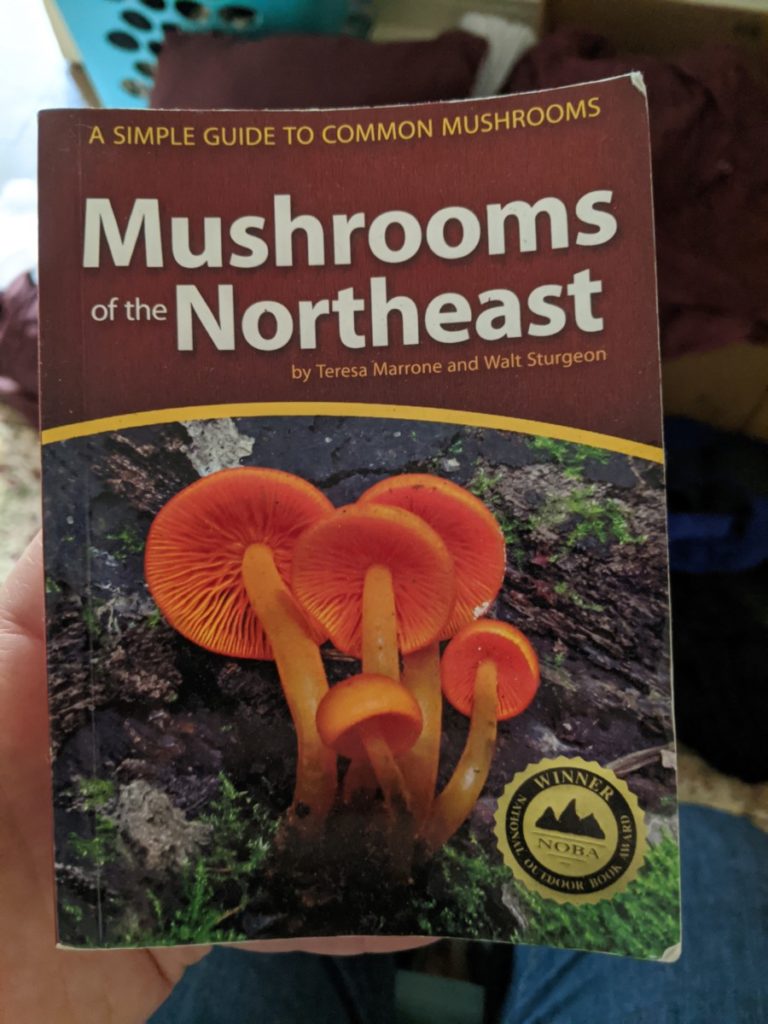 A copy of Mushrooms of the Northeast, a foraging field guide for mushrooms.