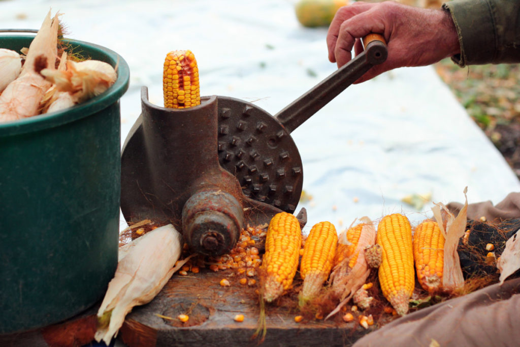 A man shelling corn with a corn sheller