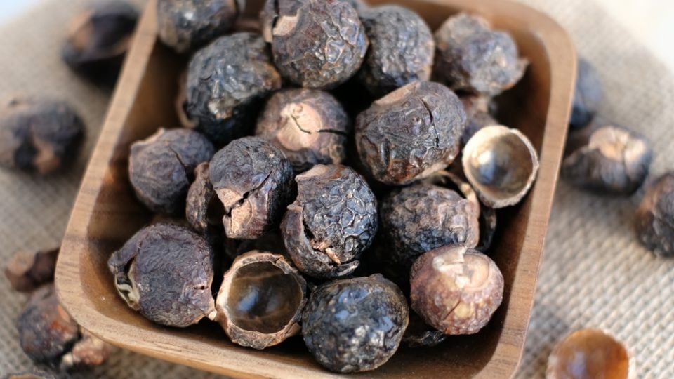 Grow Soap 8 Saponin Rich Plants That Can Be Made Into Soap