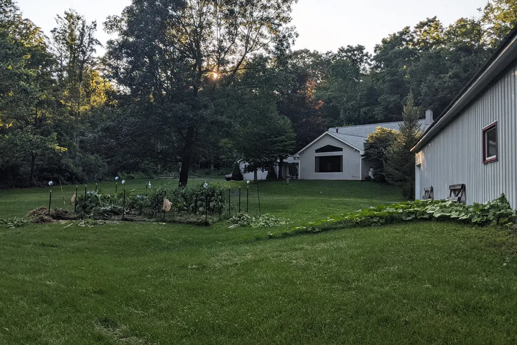a view of my sweetie's backyard and our garden