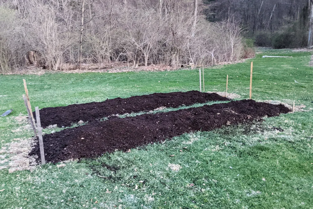 Two new garden beds using the no-dig garden method.