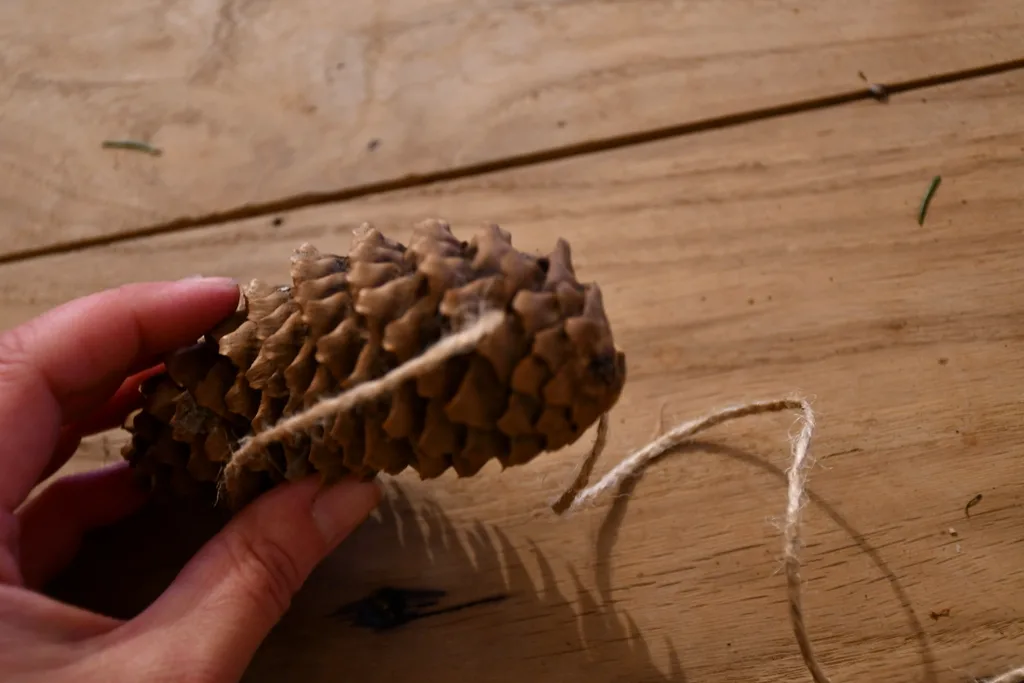 Twine woven through the bottom of a pinecone so it can be tied to the wreath