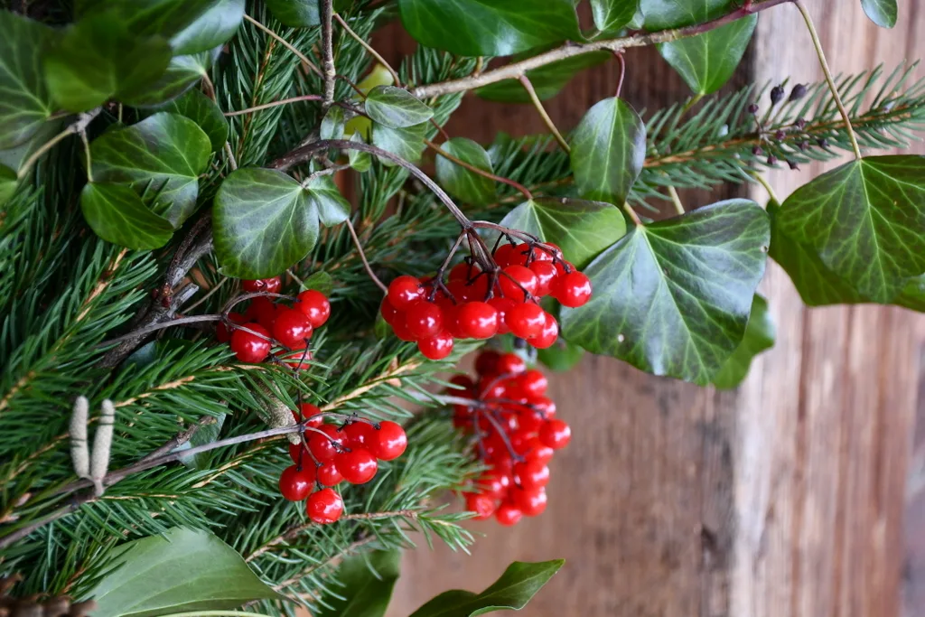 Close up of bright red berries on wreath.