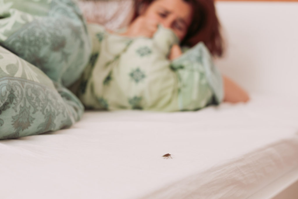 woman in bed afraid of stink bug