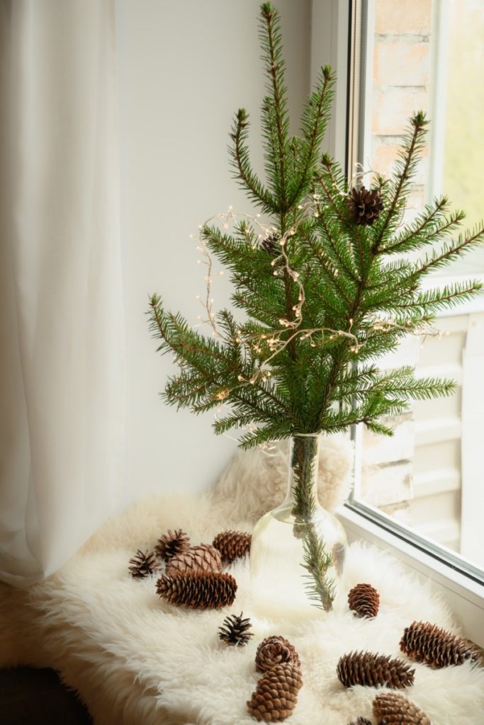 Evergreen boughs in a vase