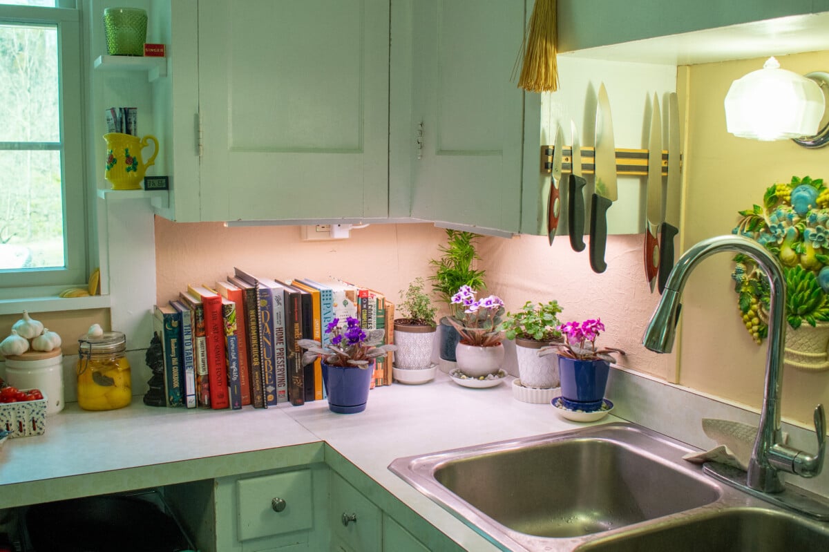 Counter with LED grow lights and several houseplants