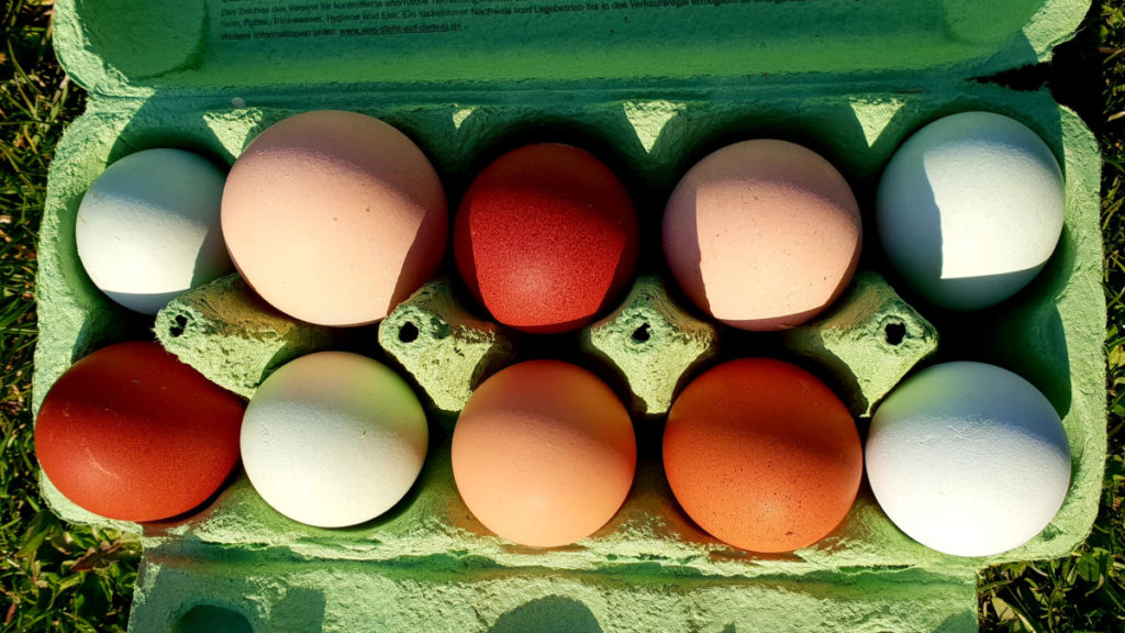 Carton filled with colorful chicken eggs