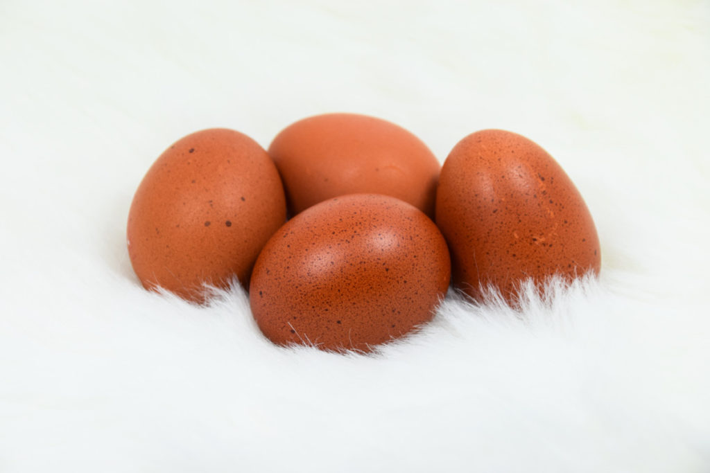 Welsummer eggs, brown with speckles