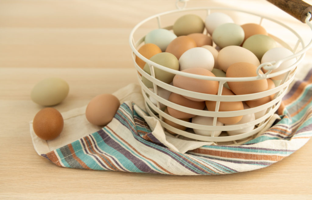 Basketful of colorful chicken eggs
