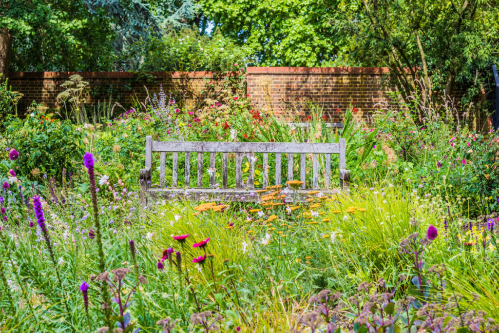 Bench sitting in the middle of a pollinator garden filled with flowers