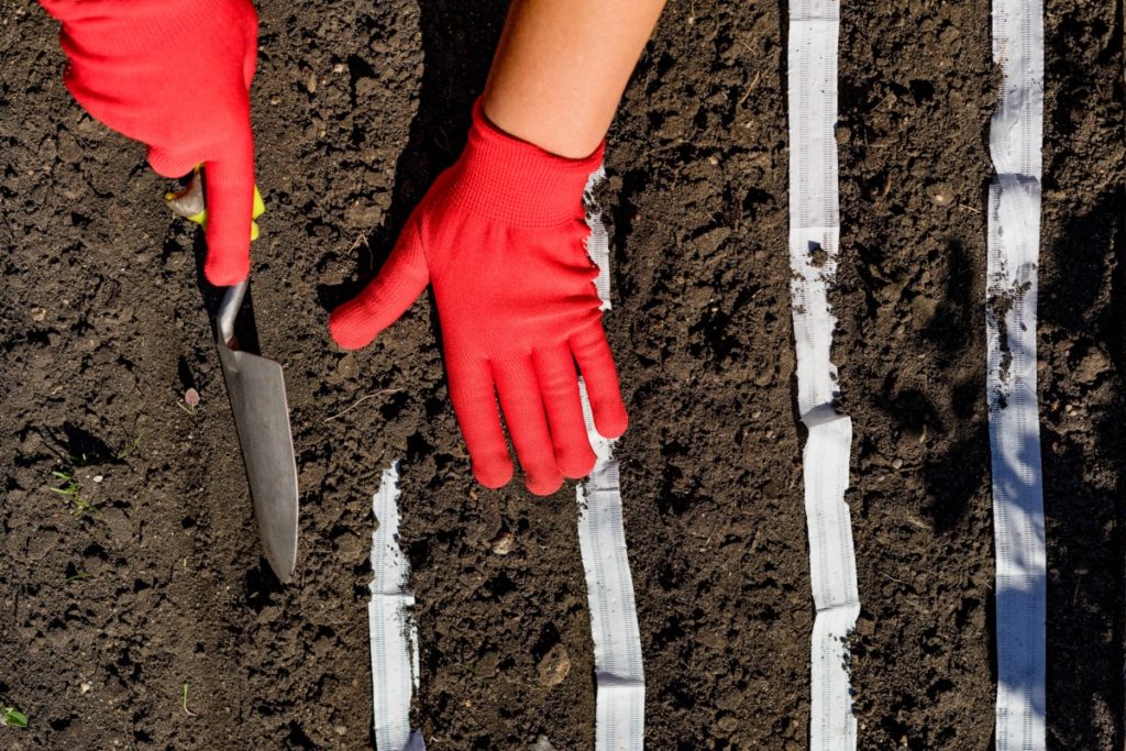 Woman's gloved hands planting seed tape in soil. 