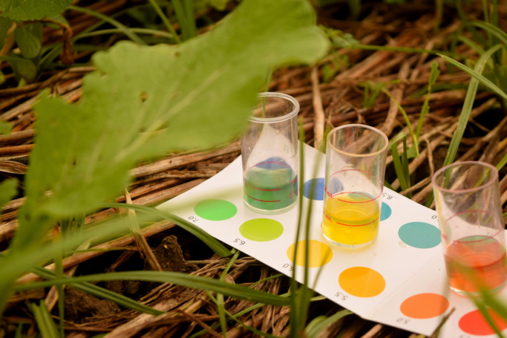 colored paper with soil test kit tubes set on it