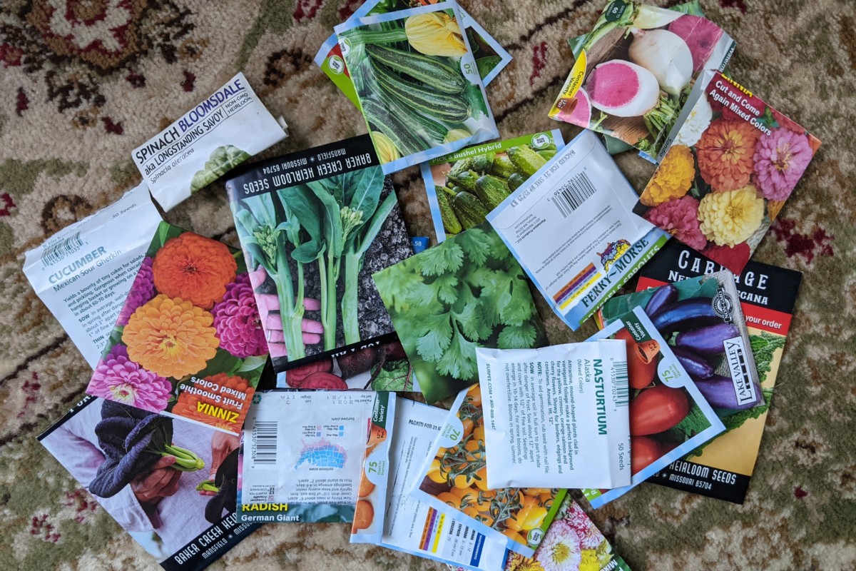 Seed packets laid out on the carpet.