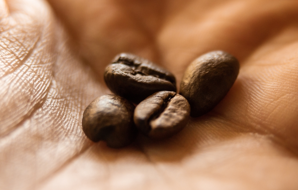 Four roasted coffee beans in the palm of a hand.