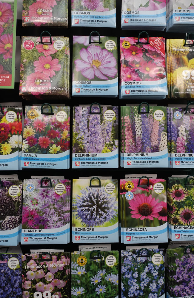 Lotus Flower Seeds Outlet Offers, Save 68% | jlcatj.gob.mx